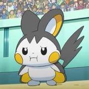 shinmink